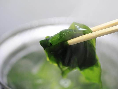 【生そのまま急速冷凍】鳴門わかめ/徳島県鳴門産/1kg/塩なし/わかめ100％【冷凍】