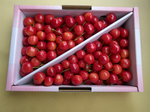 山形県産　佐藤錦　特秀　L以上　1kgバラ詰め