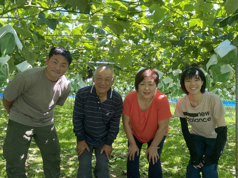 【500円引き】クセになる食感！早生ワッサー ギフト用（熨斗対応可）約3kg（9～12玉）／出店記念の特別価格！【夏ギフト】【贈答用】【朝どれ】