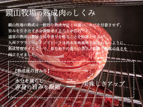 【贈答用】九州クラフト黒毛和牛 熟成肉 無添加ハンバーグ100g×8個