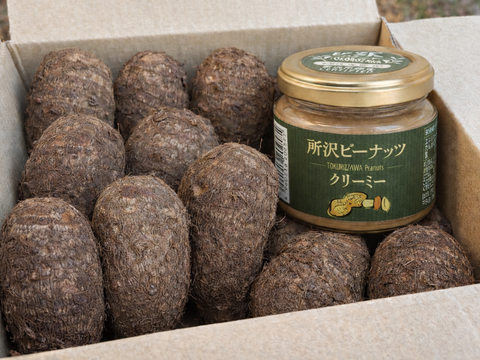 所沢ピーナッツクリーミー1瓶＆さといも２Ｌサイズ2.5kg同梱セット