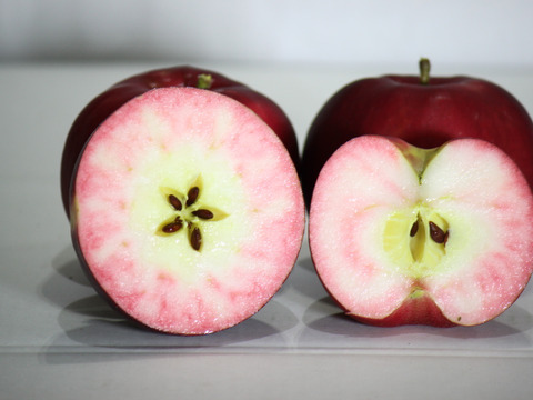 りんご　☆プロフ必読でお願い致します☆ 予約開始】1個100万円の高級リンゴ！限定10セット！！大切