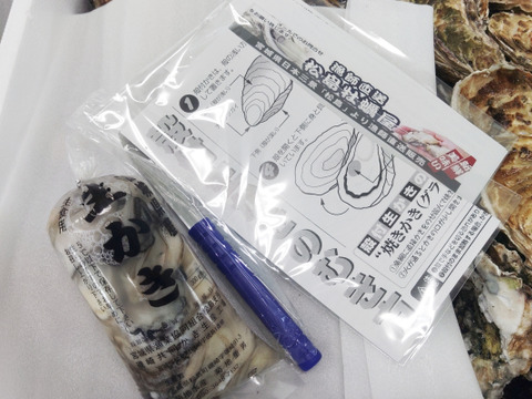 【水産庁補助事業 送料無料】剥き身セット🚚13.3kg 予約販売 【1/7～発送スタート】生牡蠣🦪生食用むき身300g+殻付き牡蠣普通サイズ １３kg（目安78-208個）松島牡蠣屋