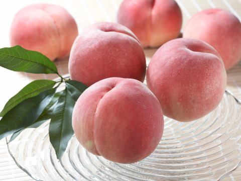 【限定販売】9月の桃！！「夢かおり」3kg