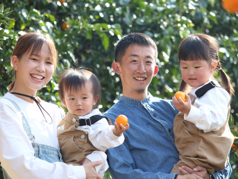 【贅沢食べ比べセット】暁みかん×まどんな【ゲン担ぎ福袋】