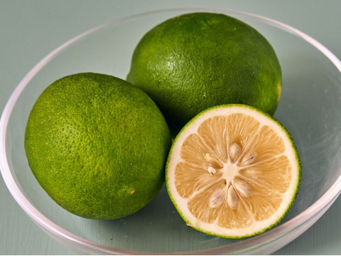 箱込約1㌔　マイヤーレモン　皮までバリバリ食べれる美味しさ