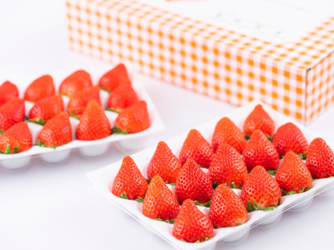 4年連続金賞受賞・群馬県最高峰いちご「スーパーデラックス」ダブル（W）2箱4品種入り