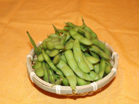 枝豆（大平原）　350ｇ（1袋）×10
