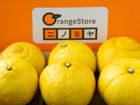 さっぱり上品「はるか」2㎏ (M~LL玉)　※２月上旬発送