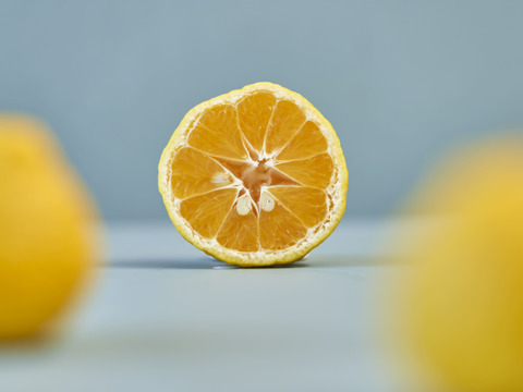 箱込約1㌔　媛小春　リピート率高い　黄色いけど酸味のない春を告げる味