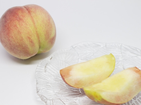 【早期予約価格】🍑【特秀品】さくら白桃　5kg 13～20玉　9月上旬発送　希少な桃　収穫した日に発送　農家直送【朝どれ】