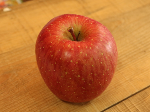 【訳あり品】スマートフレッシュ葉とらずふじ🍎4.5kg（12～24玉）　青森りんご