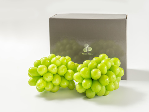 【贈答用】 岡山県産シャインマスカット 2房  予約販売！9月中旬より順次発送致します。