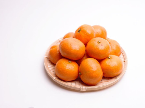 完熟！有田みかん 1kg【プレミアム】