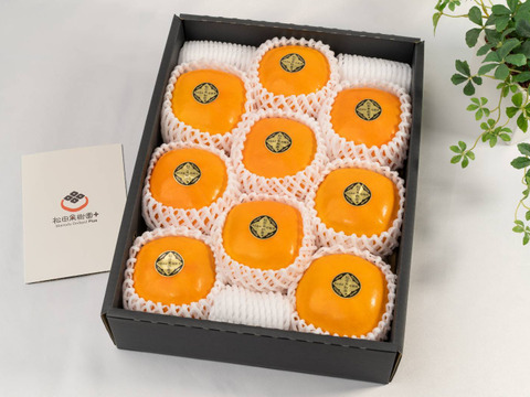 糖度に自信！L贈答用　 刀根早生柿誕生の地より直送 たねなし柿  もらって嬉しいサイズです