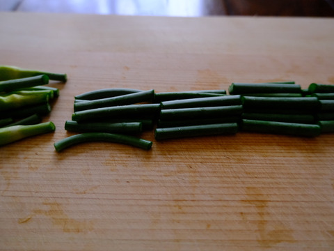 一度食べてほしい綾町産有機ニンニクの芽（500ｇ）