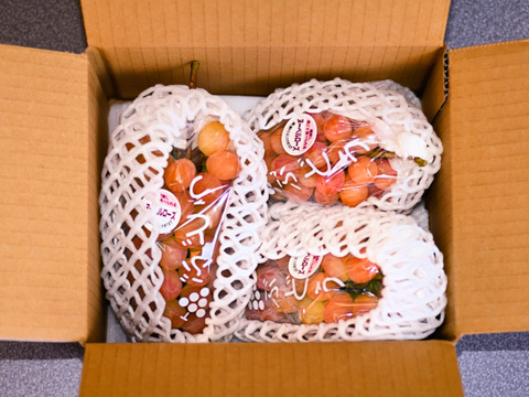 【ヌーベルローズ3房/750g以上】