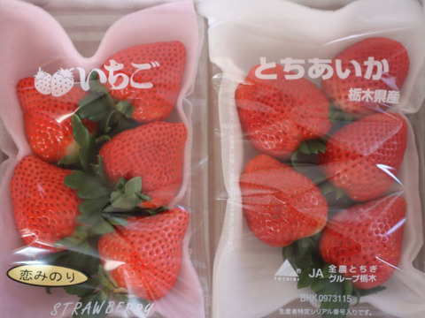 大粒！
完熟恋みのりととちあいかの食べ比べ
(あなたの好みは恋ですかあいですか…)