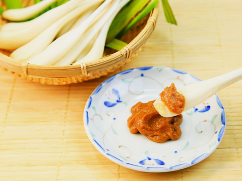 【春限定・希少】宮城産 若採りらっきょう エシャレット 1kg 栽培期間中農薬不使用  朝掘り 4月終了