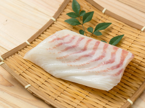 【福袋】百年漁師の鰤と真鯛詰合せ　冷凍　熨斗対応可