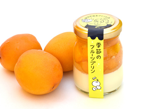 大地の卵 手づくり なめらかプリン 期間限定プリン 杏シロップ 6個セット 長野県産 食べチョク 農家 漁師の産直ネット通販 旬の食材を生産者直送