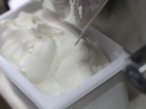 【牛飼いの手作り】搾りたてミルクのジェラートアイス（１６個セット）