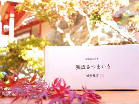 《化粧箱ver》リピーター続出【厳選】熟成安納芋（3㎏）蜜いっぱいのさつまいも🍯🍠高級感のある箱に入れ、ひとつひとつ紙に包んでお届け✨贈り物にピッタリ【冬ギフト】【お歳暮】【贈答用】熨斗承ります。