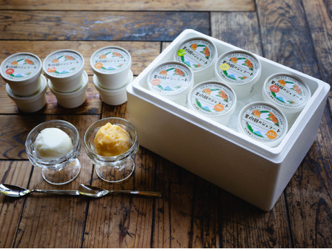 まるで生の果実みたい　新発売　果樹園のジェラート『柑橘シャーベット食べ比べセット』６種類12個入り　配達日時指定便 杉山農園