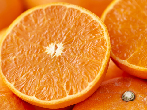 箱込約5㌔　せとか