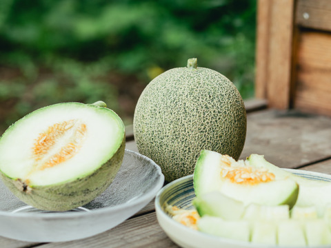 【贈答用】《最優秀賞受賞》お中元に！日本唯一のオリジナル・オーガニックメロン