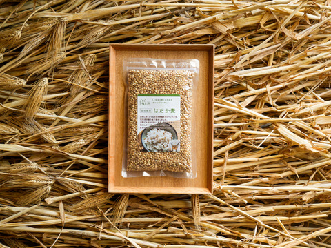 【自然栽培】農薬・肥料不使用の裸麦（玄麦）300g