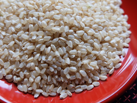 ◉米・穀類🥇１位受賞✨食べチョクAW2023　特別栽培米コシヒカリ【 5分づき精米 5kg】＆【玄米2ｋｇ】有機質肥料のみ・動物性堆肥不使用・低農薬（80％以上削減）一等米✨【令和６年産】