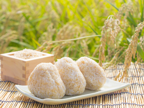 🌾 岡山産きぬむすめ｜玄米５kg（5kg×1袋）農薬不使用、艶やかで甘み広がる上質なお米