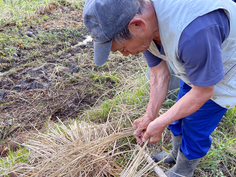 【2025年度産】［玄米］自然栽培ゆめみづほ5kg（富山県氷見産）