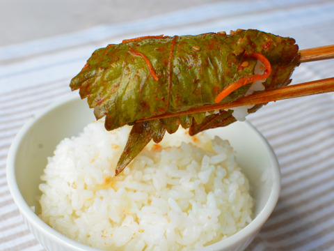 朝採れ!
シャキシャキの食感。美味しい 新鮮「えごま」の葉(100枚)