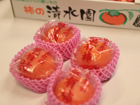 冷蔵柿（富有柿）10個入り2Ⅼサイズ
福岡県久留米市田主丸産