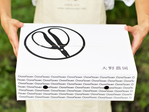 濃厚な甘さと瑞々しさが絶賛の【梨：幸水】9～5個程度（3㎏程度）