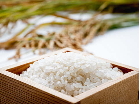 令和4年度産精米🌾長崎県認定特別栽培米ひのひかり10㎏🌾宮下さんちのおいしいお米