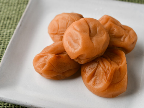 【和歌山県特別栽培】 うすしお梅干 400g 紀州南高梅 農家直送