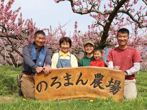 【職人技】黄桃　品種は何が届くかお楽しみ♪1.5㎏（3-6玉）7月発送！