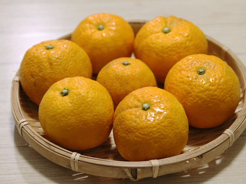 完熟じゃばら果汁100％　150ml×4本