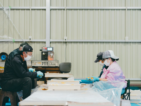 プレミアム干柿SHUKU「西条柿」4玉