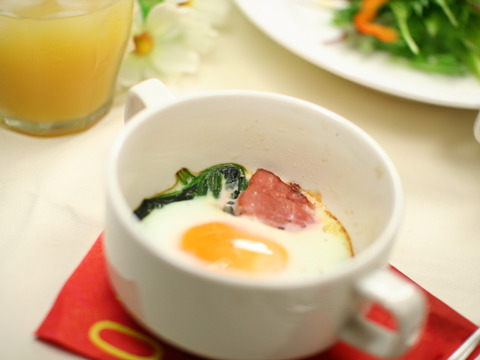 寒さが育んだ『ホウレンソウ』　農薬・化学肥料不使用栽培