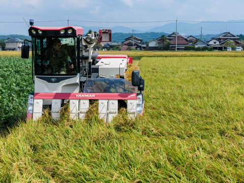 肉にも野菜にも相性抜群！うま味たっぷり！【令和7年度産】滋賀県産きぬむすめ白米5kg