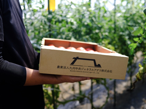 山の恵みがつくる大玉トマト 4kg箱詰め(20～28玉)