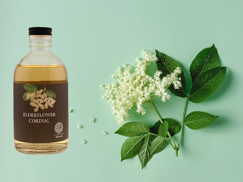 🌱エルダーフラワーコーディアル🌱岡山県産エルダーフラワー 「Kocomo's Elderflower Cordial」300ml