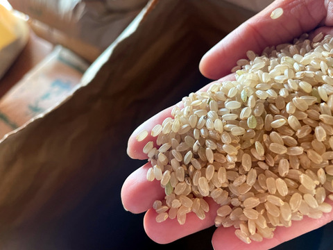 【2025年度産】［精米］自然栽培コシヒカリ3kg（富山県氷見産）