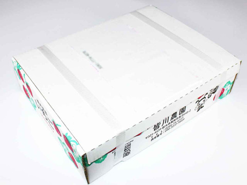 (1P)約280g【いちご・とちあいか】安心新パッケージ★甘さ増量●栃木県産いちご●お届け日指定可