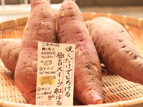 【予約販売】熟成させてお届けするので甘くて美味しい焼き芋がご家庭で！厳選「べにはるか」ひとつひとつ丁寧に包んでお届けで贈り物にも最適！紅はるか（5㎏）熨斗承ります。【冬ギフト】お歳暮にも