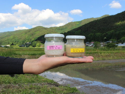 【数量限定】自然栽培米 「ハッピーヒル」玄米２㎏
江戸の知恵に学び、自然の巡りに寄り添ったやさしいごはん